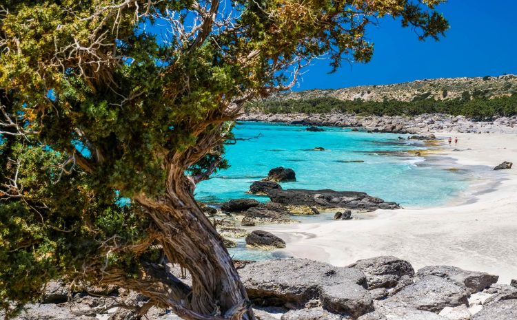  “Zephyros: A Culinary Odyssey Weaving Crete’s Wonders and Flavors”